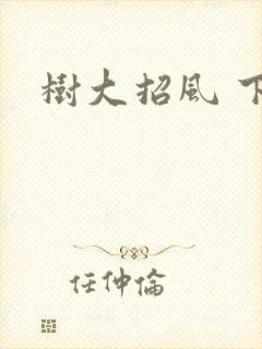 树大招风 下载