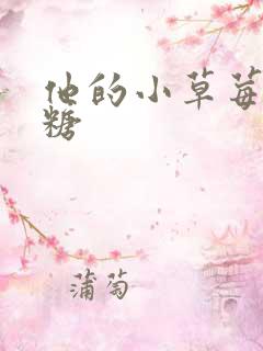他的小草莓软糖糖