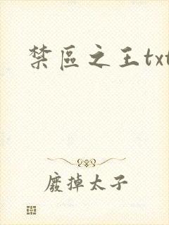 禁区之王txt