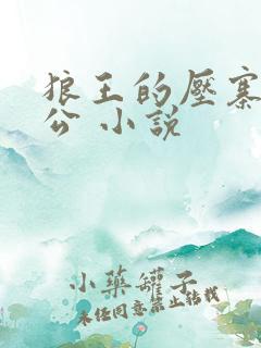 狼王的压寨小相公 小说