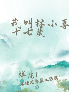 我叫林小喜今年十七岁
