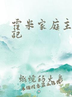 霍米家庭主妇日记