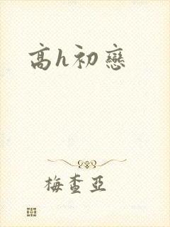 高h初恋