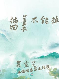 插着不能掉等我回来