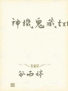 神机鬼藏txt