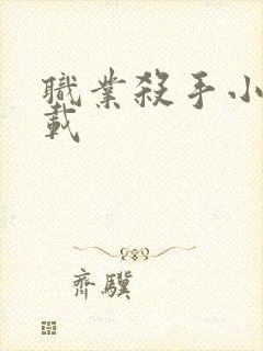 职业杀手小说下载