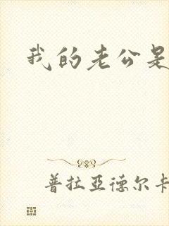 我的老公是冥王