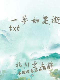 一梦如是逝水长txt