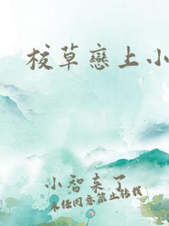 校草恋上小丫头