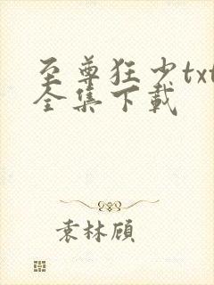 至尊狂少txt全集下载