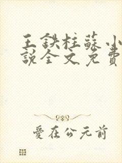 王铁柱苏小汐小说全文免费阅读最新章节