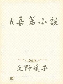 h长篇小说