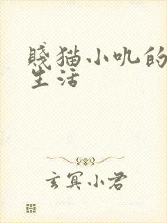 贱猫小叽的幸福生活