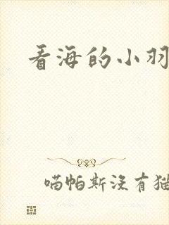看海的小羽