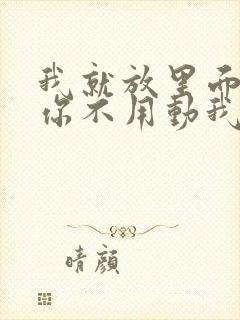 我就放里面不动你不用动我动