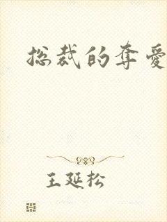 总裁的夺爱游戏