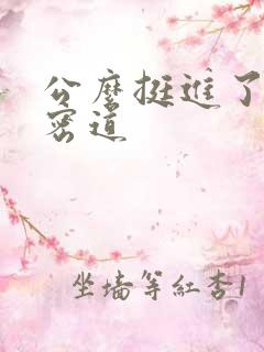 公么挺进了我的密道