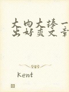 大肉大捧一进一出好爽文章