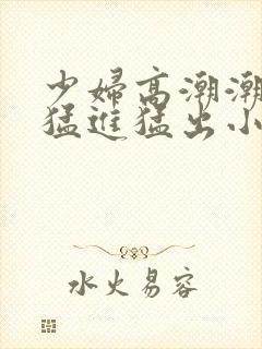 少妇高潮潮喷到猛进猛出小说