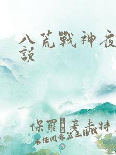 八荒战神夜麟小说