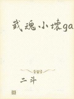武魂小坏ga