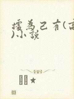 据为己有(高干)小说