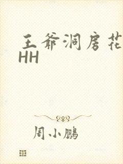 王爷洞房花烛夜HH