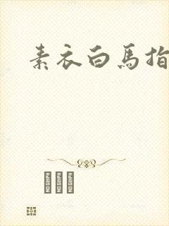 素衣白马指天下