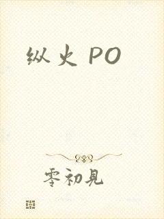 纵火 PO