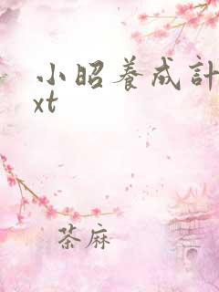 小昭养成计划txt