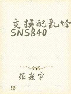 交换配乱吟粗大SNS840