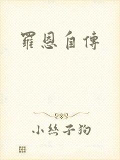 罗恩自传