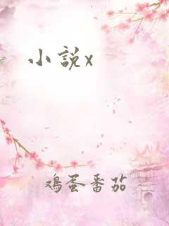 小说x