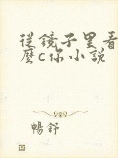 从镜子里看我怎么c你小说