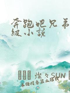 奔跑吧兄弟限制级小说