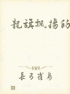 龙旗飘扬的舰队