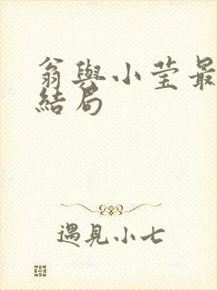 翁与小莹最新大结局