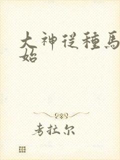 大神从种马文开始