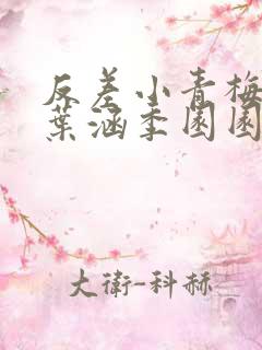 反差小青梅不经叶涵季园园 小说