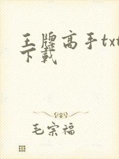 王牌高手txt下载