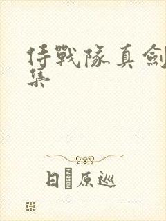 侍战队真剑者全集