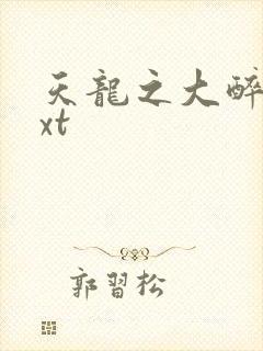 天龙之大醉侠txt