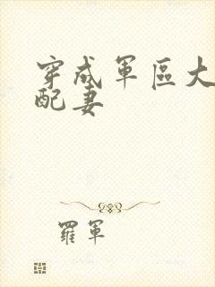 穿成军区大佬女配妻