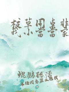 校草同桌非要撩我小当当家