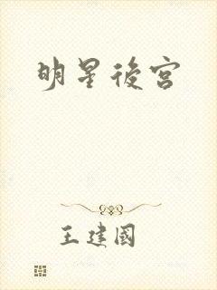 明星后宫
