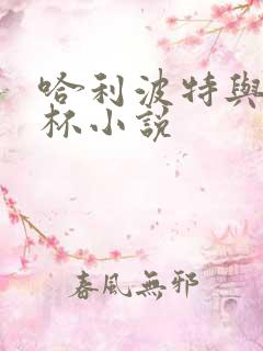 哈利波特与火焰杯小说