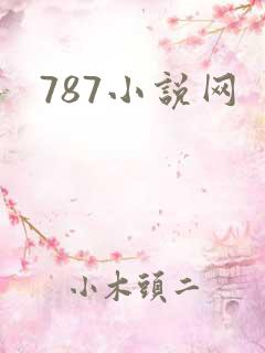 787小说网