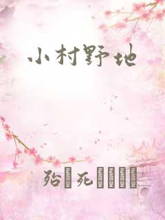 小村野地