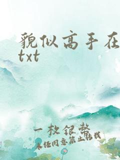 貌似高手在异界txt