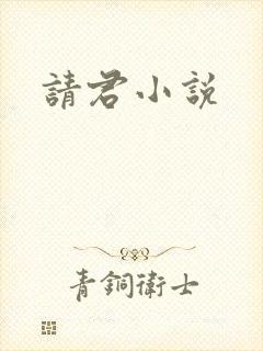 请君小说